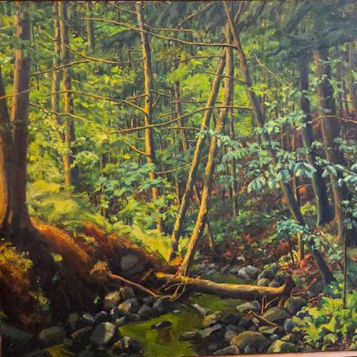 Late Summer Streambed