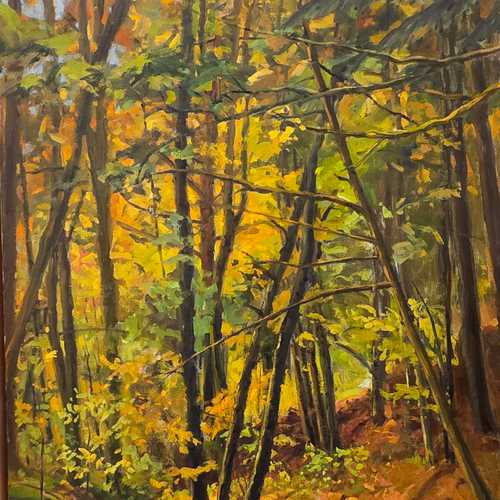 Autumn Streambed